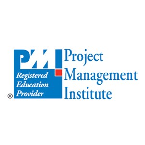 THE PROJECT MANAGEMENT INSTITUTE (PMI)®