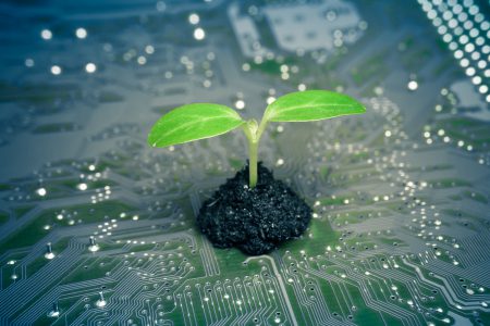 Environmental Sustainability: The Role of Government Tech Leaders